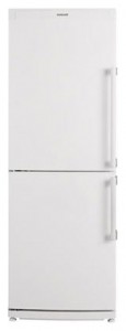 Холодильник Blomberg KSM 1640 A+ фото