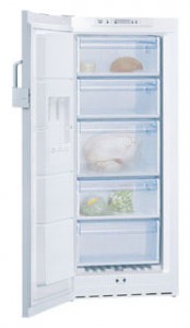 Холодильник Bosch GSV22V31 фото