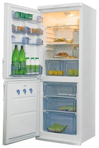 Холодильник Candy CCM 360 SL фото