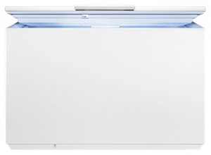 Buzdolabı Electrolux EC 4201 AOW fotoğraf