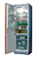 Kühlschrank Electrolux ERB 4110 AB Foto