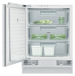 Холодильник Gaggenau RF 200-200 фото