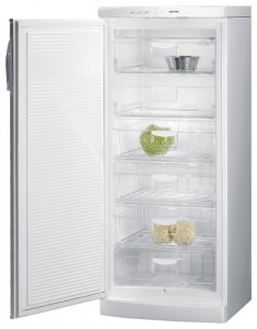 Kjøleskap Gorenje F 6248 W Bilde