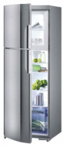 Холодильник Gorenje RF 63304 E фото