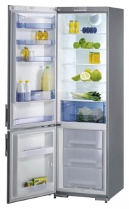 Холодильник Gorenje RK 61391 E Фото