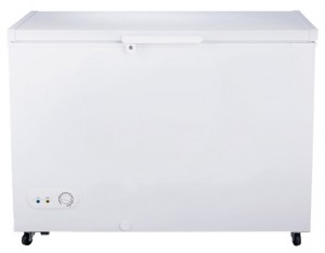 Buzdolabı Hisense FC-34DD4SA fotoğraf