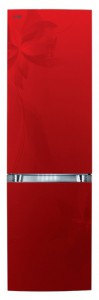 Buzdolabı LG GA-B439 TLRF fotoğraf