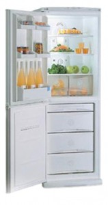 冷蔵庫 LG GR-389 STQ 写真
