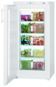 Холодильник Liebherr G 2033 фото