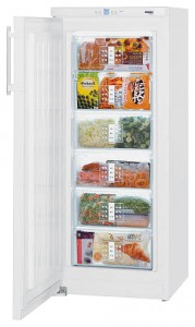 Холодильник Liebherr G 2433 фото