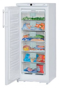 Холодильник Liebherr GN 2156 фото