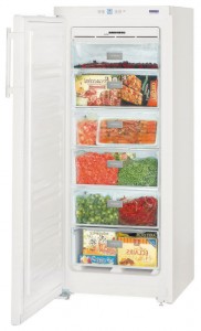 Холодильник Liebherr GN 2323 Фото