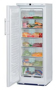 Холодильник Liebherr GN 2556 фото