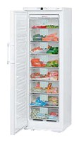 Холодильник Liebherr GN 3066 фото