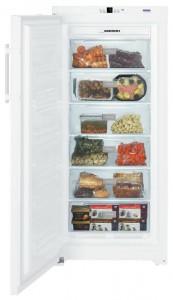 Холодильник Liebherr GN 3113 фото