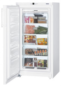 Холодильник Liebherr GNP 2613 фото