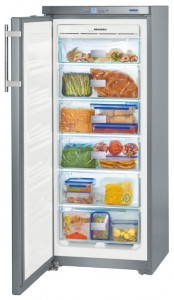 Холодильник Liebherr GNsl 2323 Фото