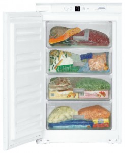Холодильник Liebherr IGS 1113 Фото