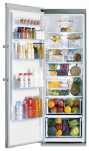 Холодильник Samsung RR-92 EESL Фото