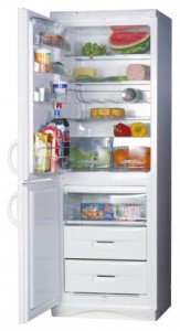 Холодильник Snaige RF310-1803A фото