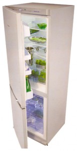 Kühlschrank Snaige RF31SM-S10001 Foto