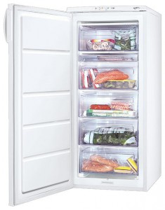 Холодильник Zanussi ZFU 319 EW Фото