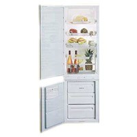 Холодильник Zanussi ZI 310 фото