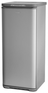 Buzdolabı Бирюса M146SN fotoğraf