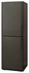 Kühlschrank Бирюса W125 KLSS Foto