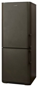 Kühlschrank Бирюса W143 KLS Foto