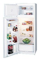 Холодильник Ока 215 Фото