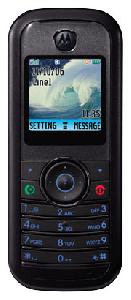 Mobiltelefon Motorola W205 Foto