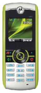 移动电话 Motorola W233 Renew 照片