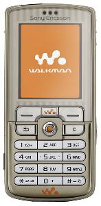 Telefon mobil Sony Ericsson W700i fotografie